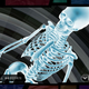 Illustration for article titled Clear The Way For New Trauma Team Screens